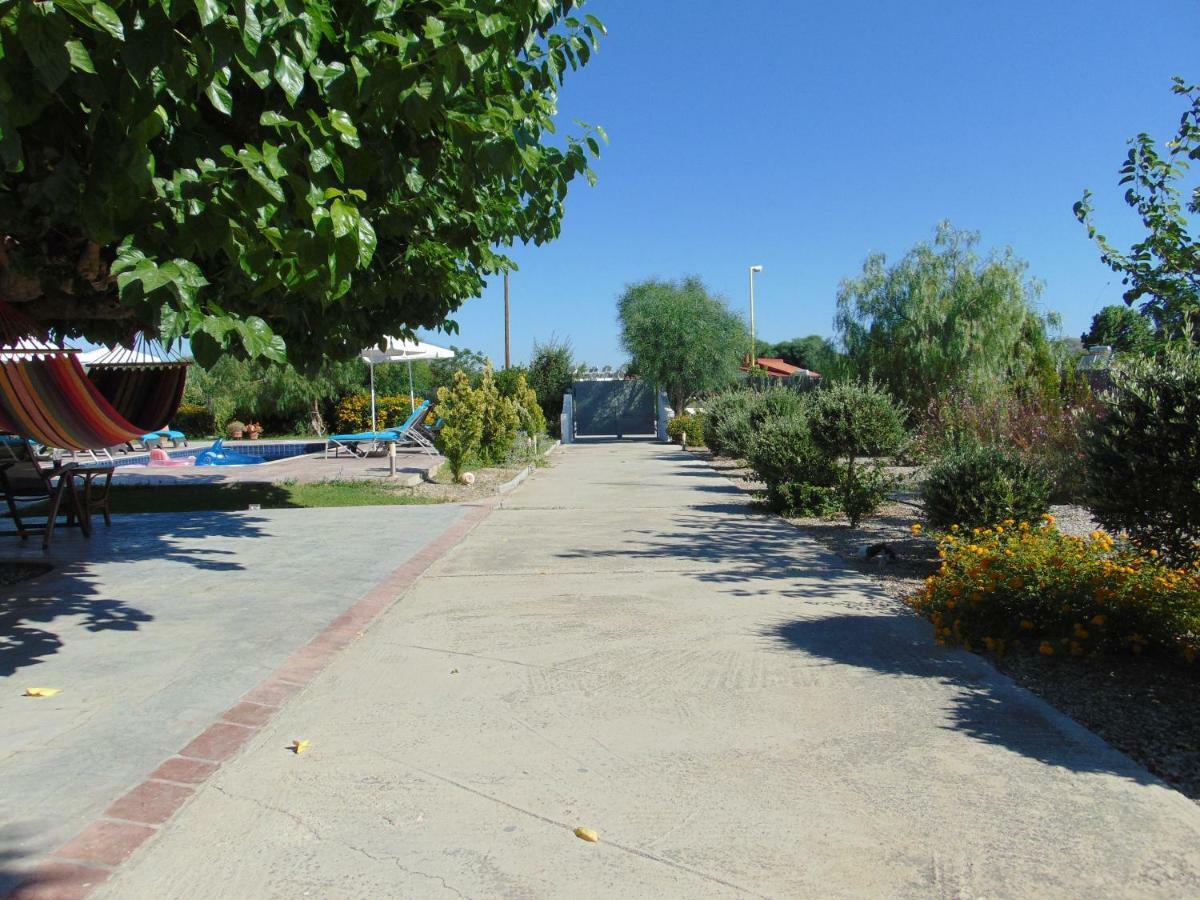 Villa Dora Faliraki Eksteriør billede